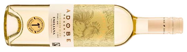Sauvignon Blanc de Casablanca destino los andes vinos importados